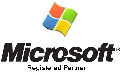 Microsoft-Partner-logo