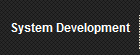System Development