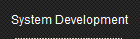 System Development