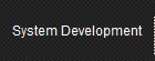 System Development